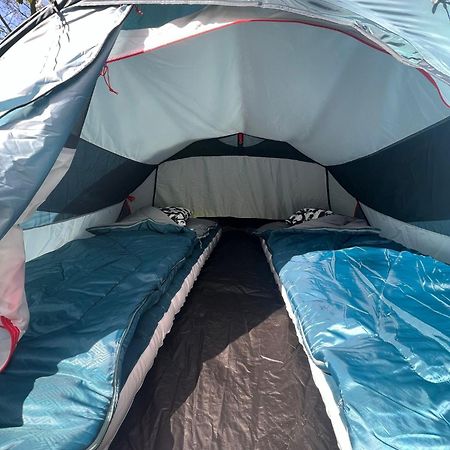 The Esn Kingsday Campsite Amsterdam Exterior foto
